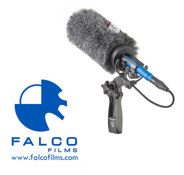 Micro de corbata inalambrico SENNHEISER :: Falcofilms :: Product sheet for  sale